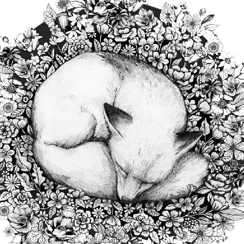 Fox sleeping in flowers