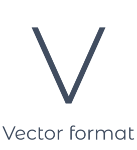 Vector format